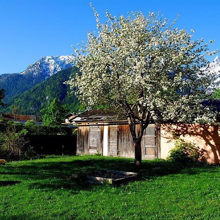דירות לופר Haus Stainer מראה חיצוני תמונה